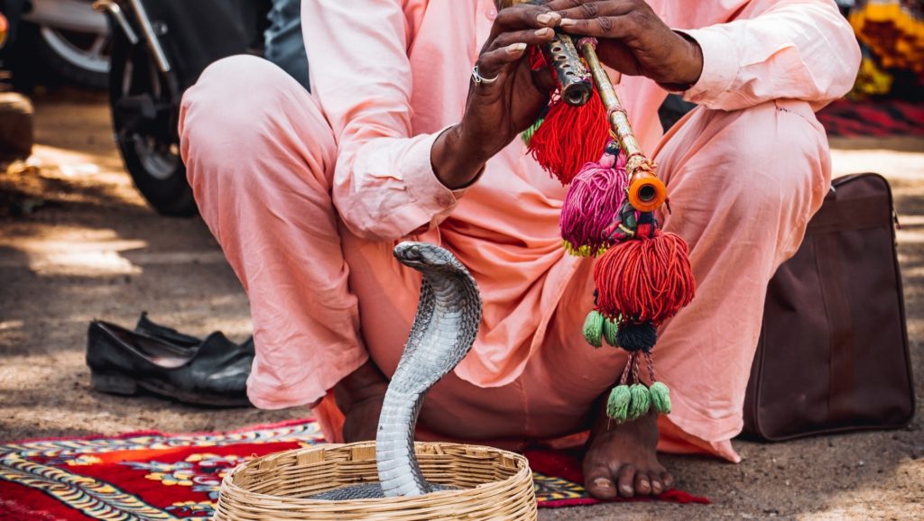 Indian Snake Charmer