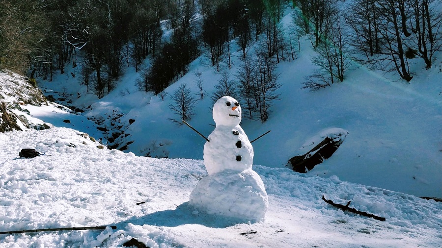 Snowman on a Mountain