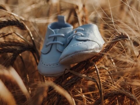 Baby Shoes in a Wheat Field