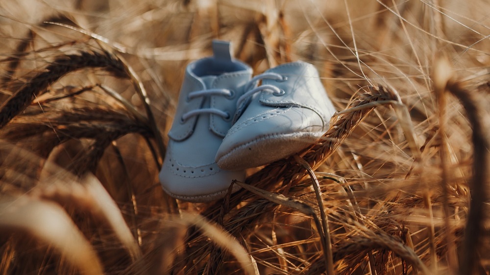 Baby Shoes in a Wheat Field