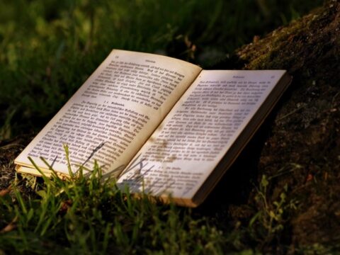 Book in the Forest