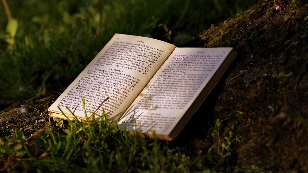 Book in the Forest