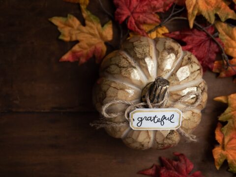 Pumpkin Decoration and Leaves
