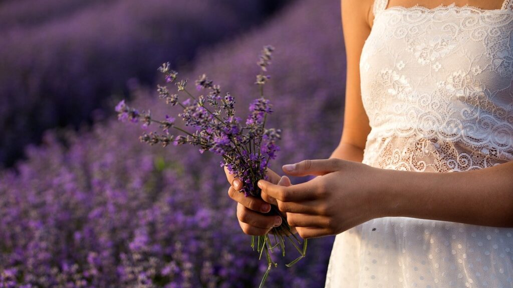 Girl Picking Lavender 