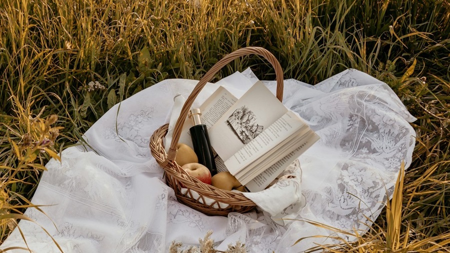 Book at a Picnic