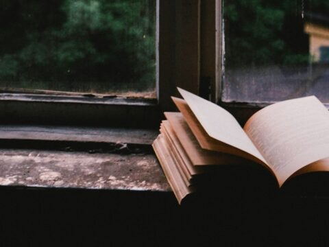 Book in a Window