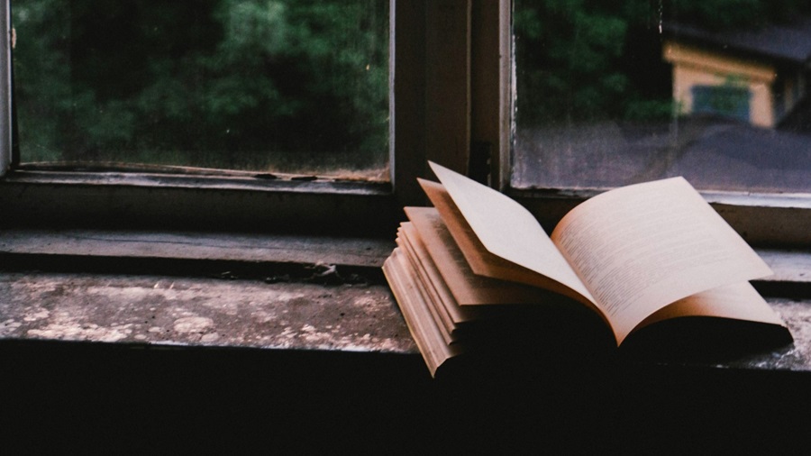 Book in a Window