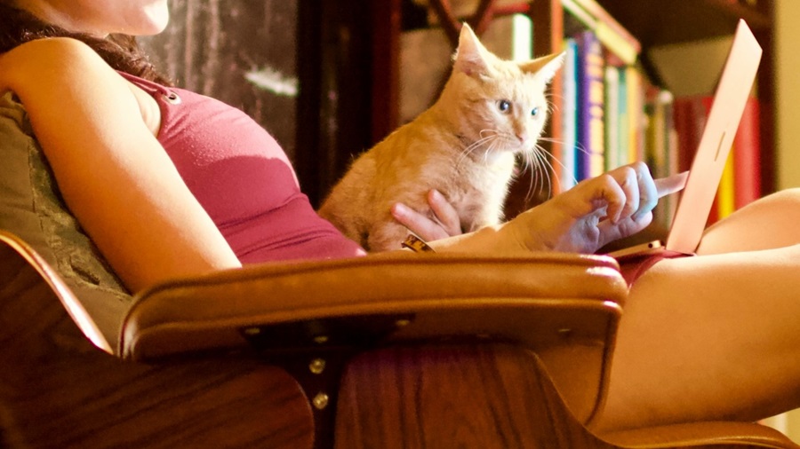 Writer with her Cat