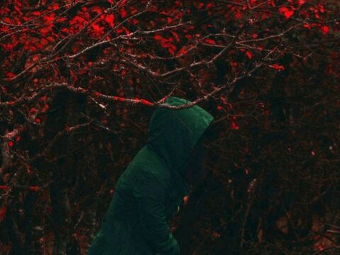 Baba Yaga in the Woods