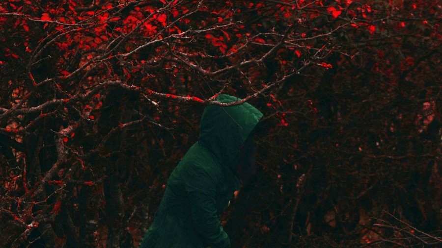 Baba Yaga in the Woods