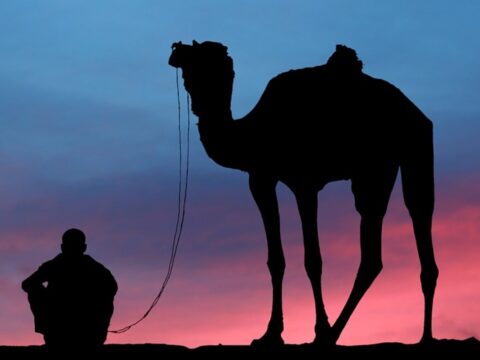 Rider and Camel at Sunset
