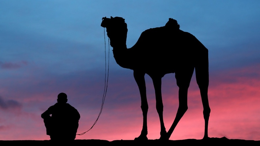 Rider and Camel at Sunset